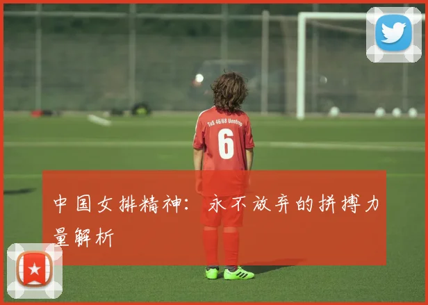 中国女排精神:永不放弃的拼搏力量解析